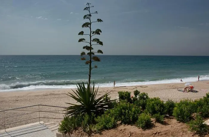 Apartament Apart. A-dorada